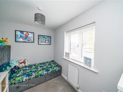 Picture 20
